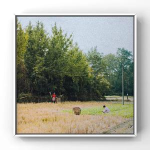 初女学生裸体写真集
